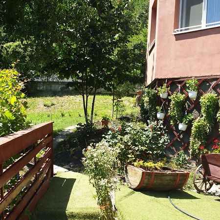 Casa Lorena Sărata-Monteoru Dış mekan fotoğraf