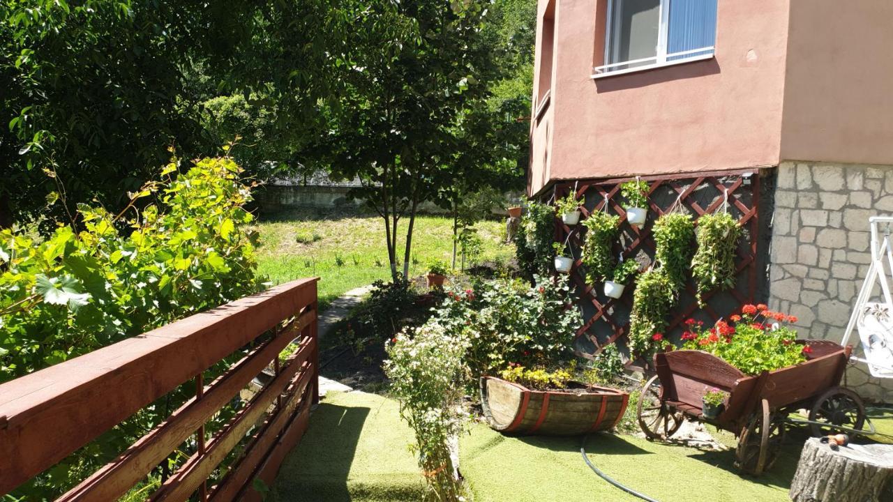 Casa Lorena Sărata-Monteoru Dış mekan fotoğraf