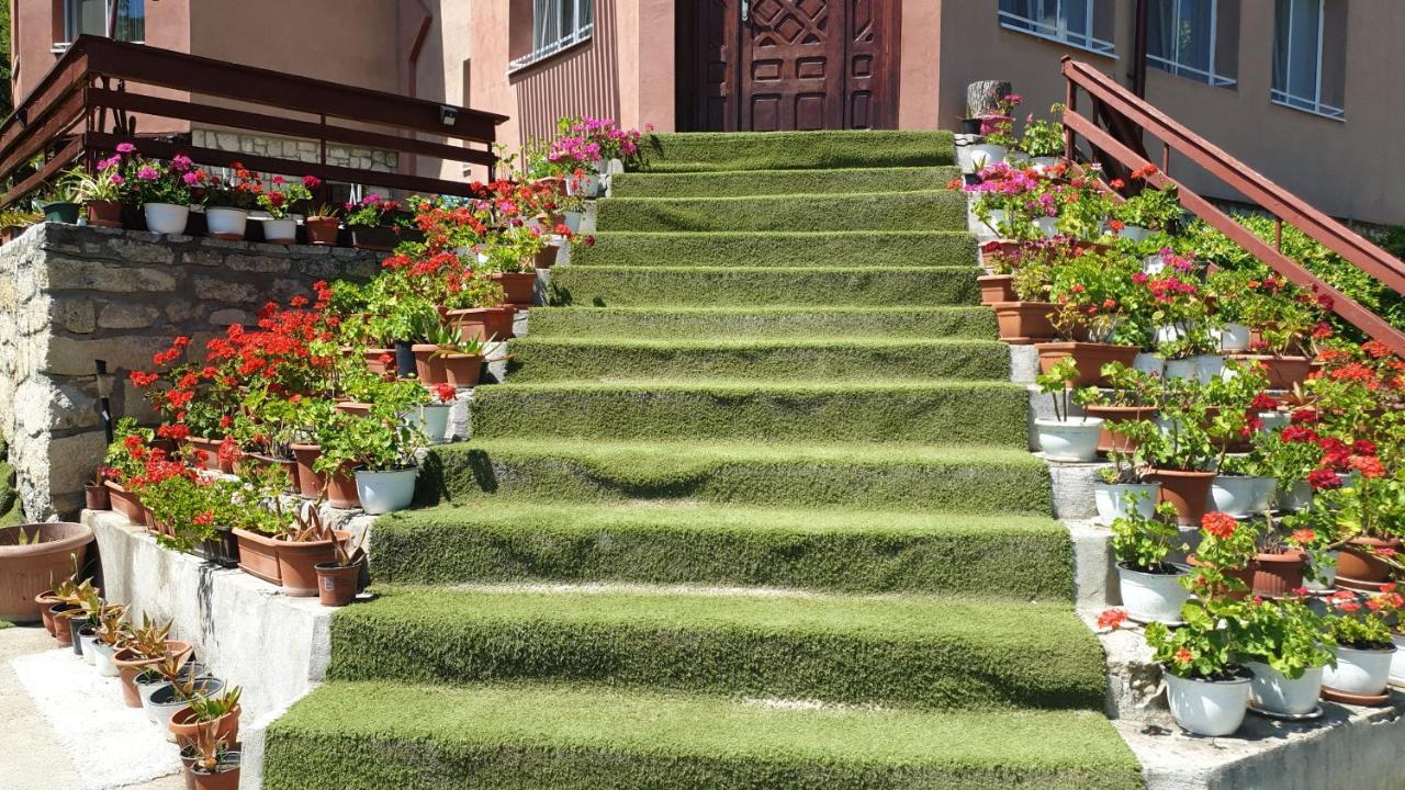 Casa Lorena Sărata-Monteoru Dış mekan fotoğraf