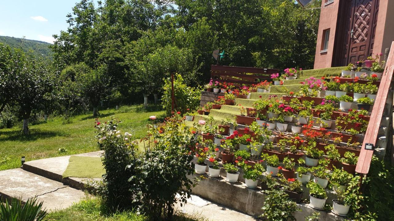 Casa Lorena Sărata-Monteoru Dış mekan fotoğraf