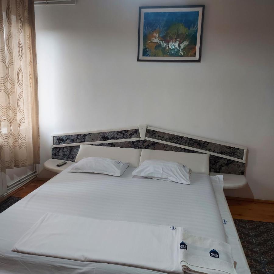 Casa Lorena Sărata-Monteoru Dış mekan fotoğraf