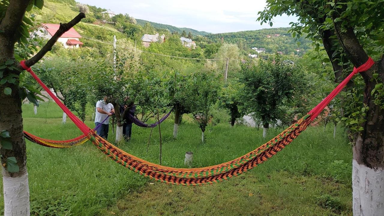 Casa Lorena Sărata-Monteoru Dış mekan fotoğraf
