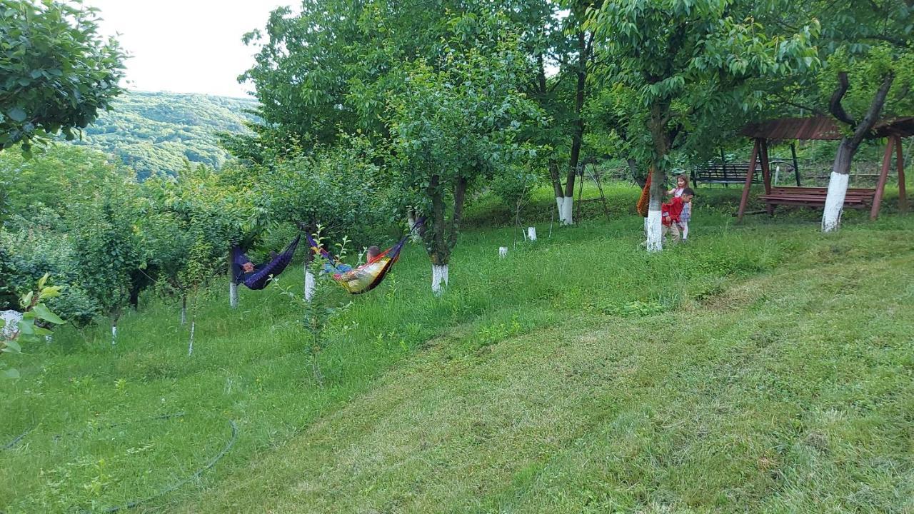 Casa Lorena Sărata-Monteoru Dış mekan fotoğraf
