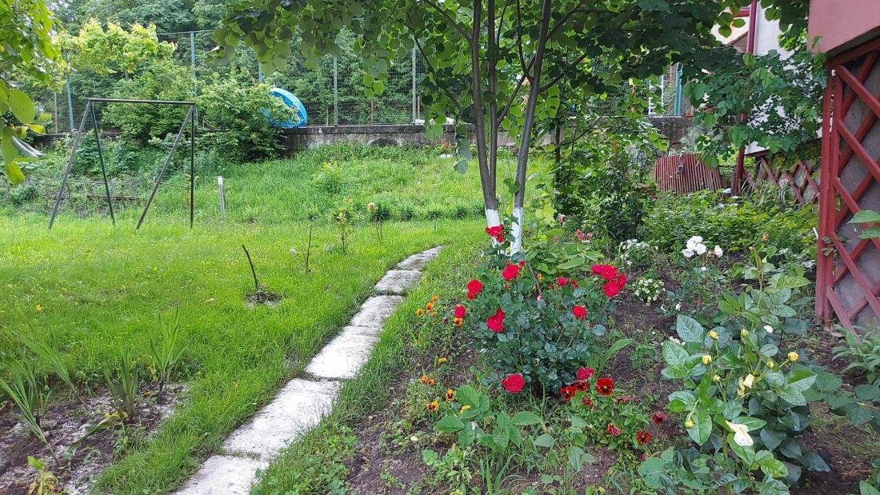 Casa Lorena Sărata-Monteoru Dış mekan fotoğraf