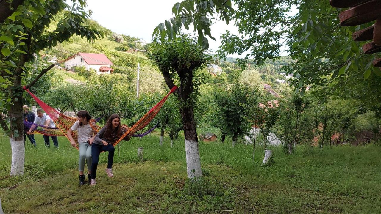 Casa Lorena Sărata-Monteoru Dış mekan fotoğraf