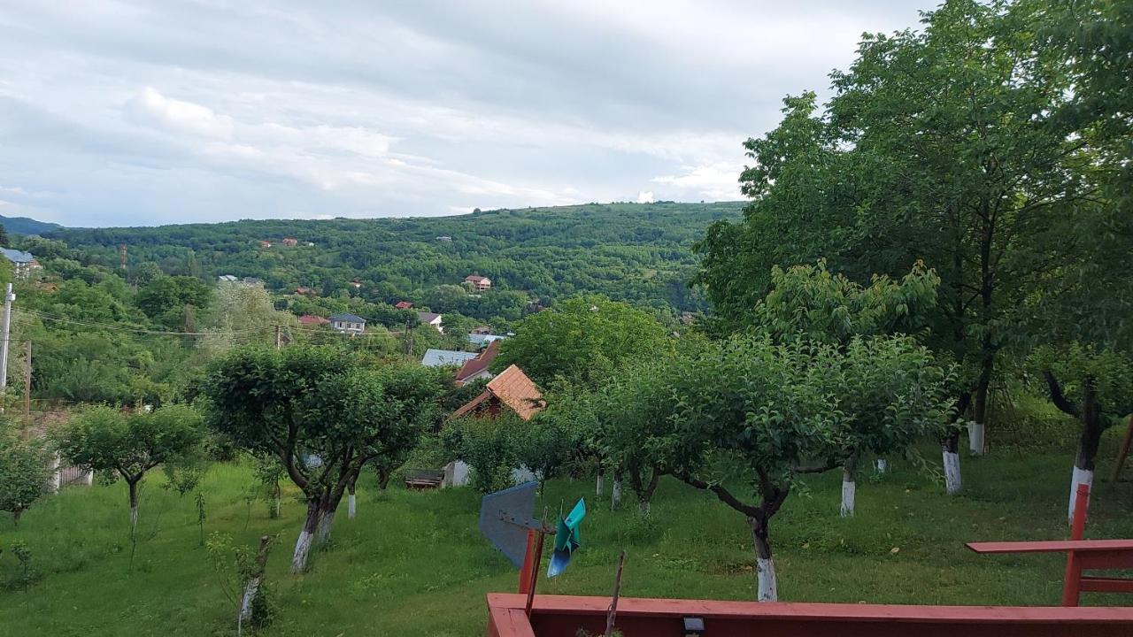 Casa Lorena Sărata-Monteoru Dış mekan fotoğraf