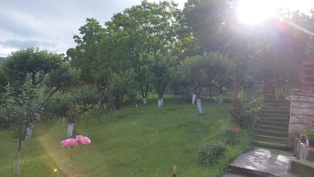Casa Lorena Sărata-Monteoru Dış mekan fotoğraf