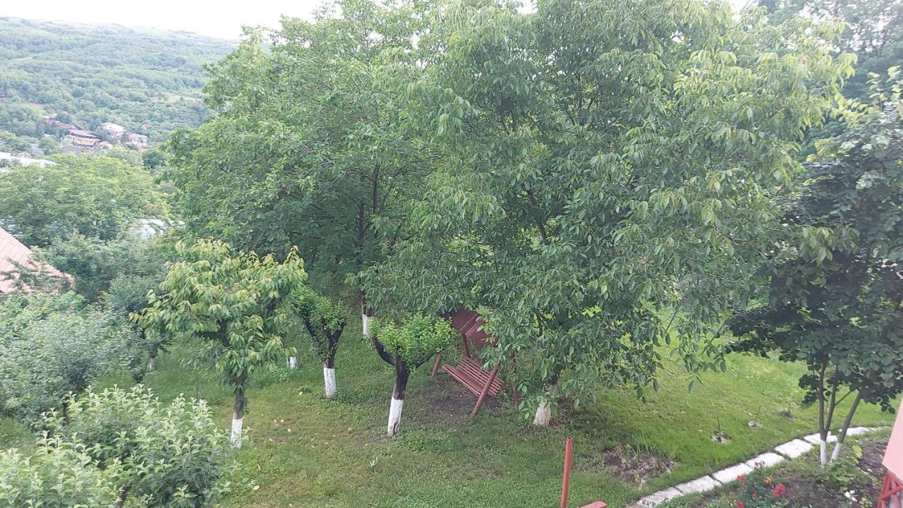 Casa Lorena Sărata-Monteoru Dış mekan fotoğraf