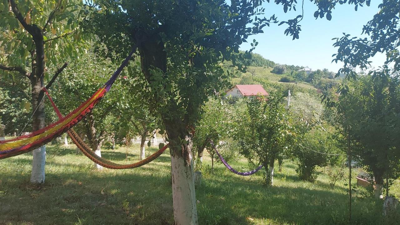 Casa Lorena Sărata-Monteoru Dış mekan fotoğraf