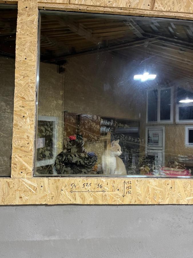 Casa Lorena Sărata-Monteoru Dış mekan fotoğraf