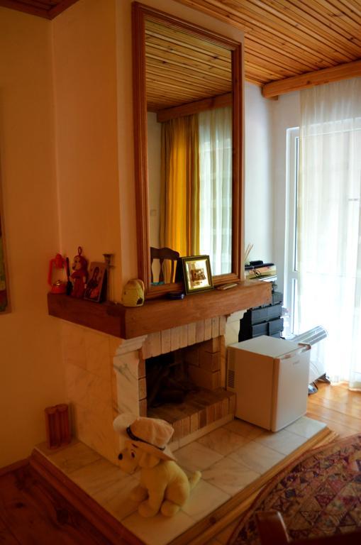 Casa Lorena Sărata-Monteoru Dış mekan fotoğraf