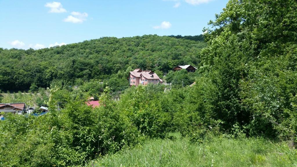 Casa Lorena Sărata-Monteoru Oda fotoğraf